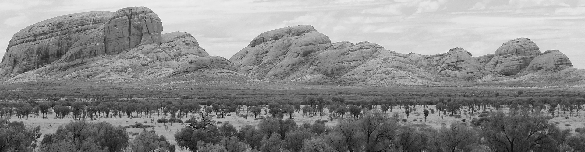 Beyond Sustainability - Abstract Pattern